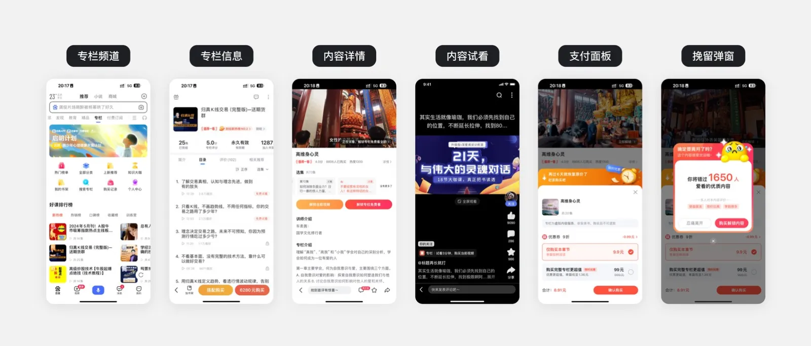付费专栏现状